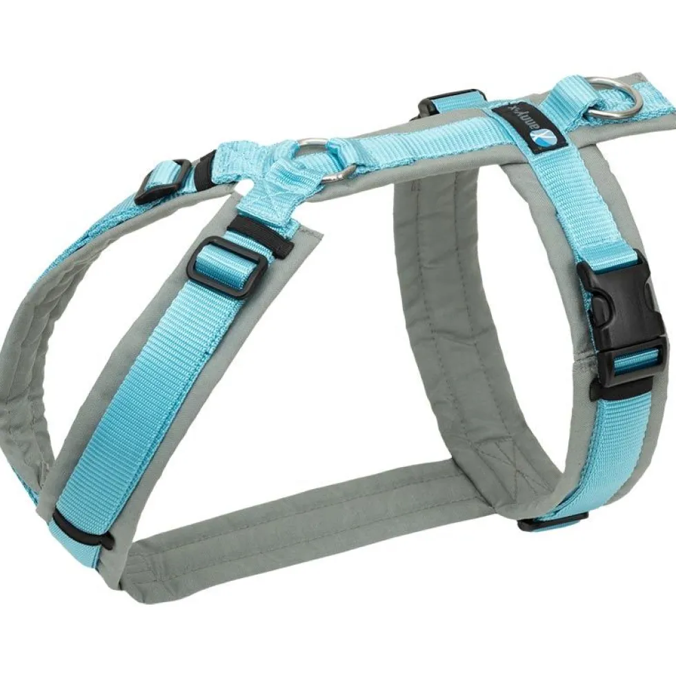 Anny-x Brustgeschirr Fun, grau/eisblau