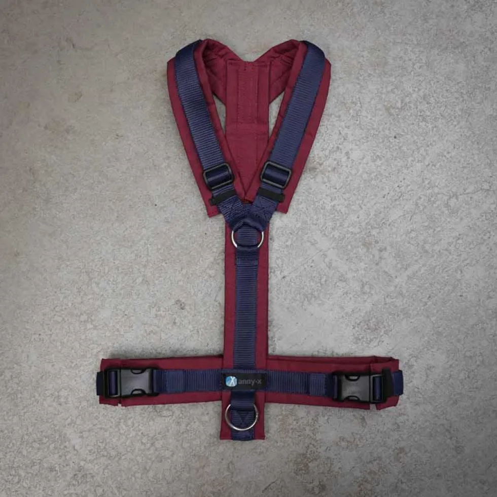 Anny-x Brustgeschirr Fun Limited, bordeaux/wunschblau