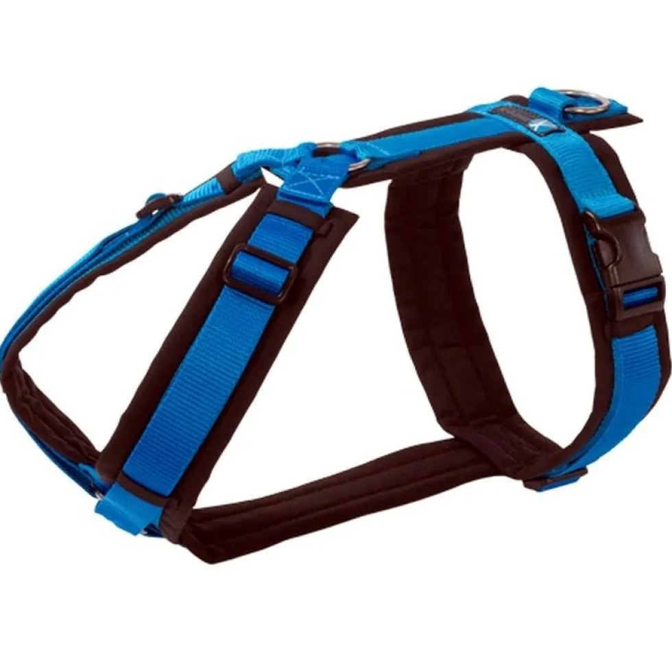Anny-x Brustgeschirr Fun, schwarz/blau