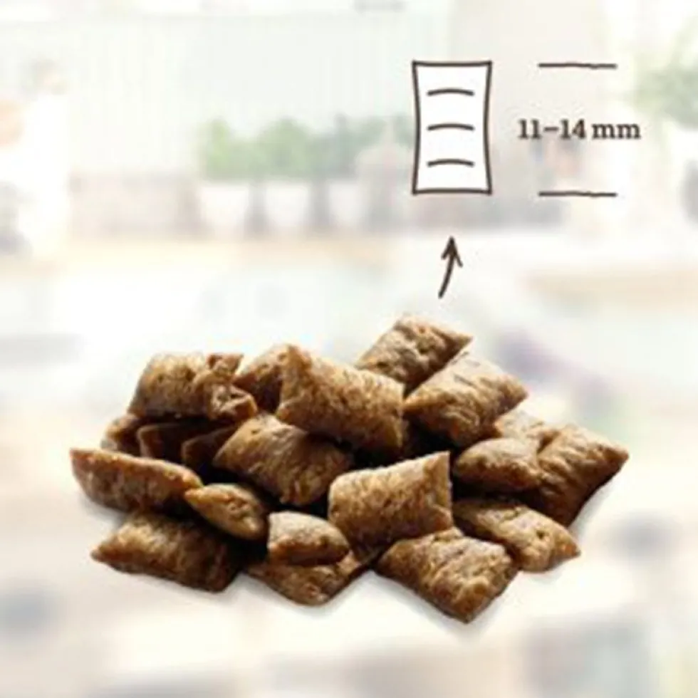 Betty's Landhausküche Snack - Knuspertraum Ente + Minze 50g