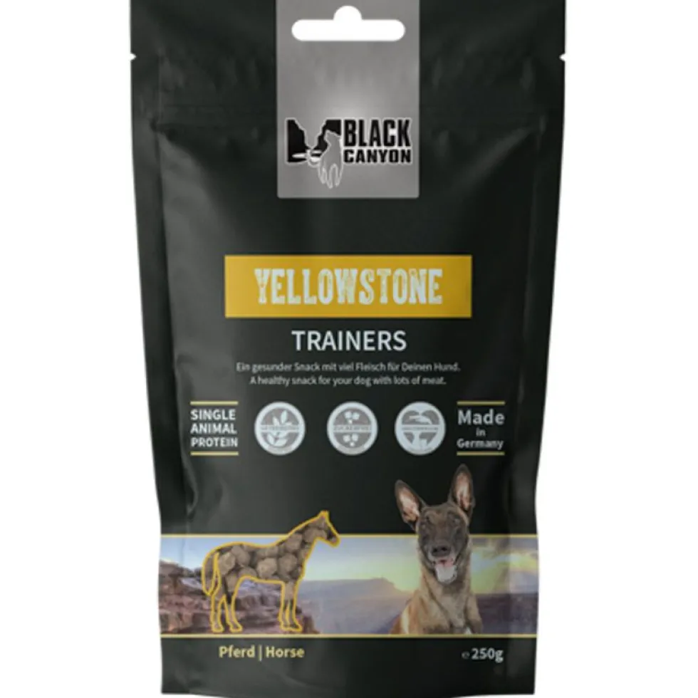 Black Canyon Trainers Yellowstone Pferd