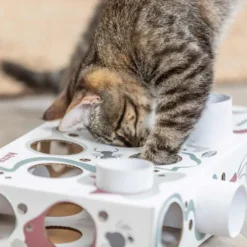 Cat Activity Paws n Treats Box, 35x7x20 cm
