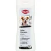 Color-Shampoo, schwarz 250 ml