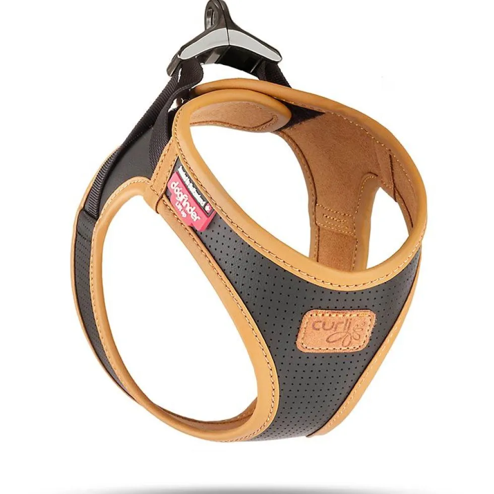 Curli Geschirr Apple Leather, schwarz