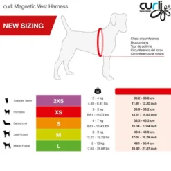 Curli Geschirr Magnetic Vest Air-Mesh V2, black