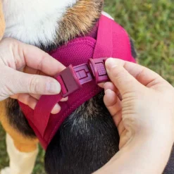 Curli Geschirr Vest Air-Mesh Clasp, Ruby