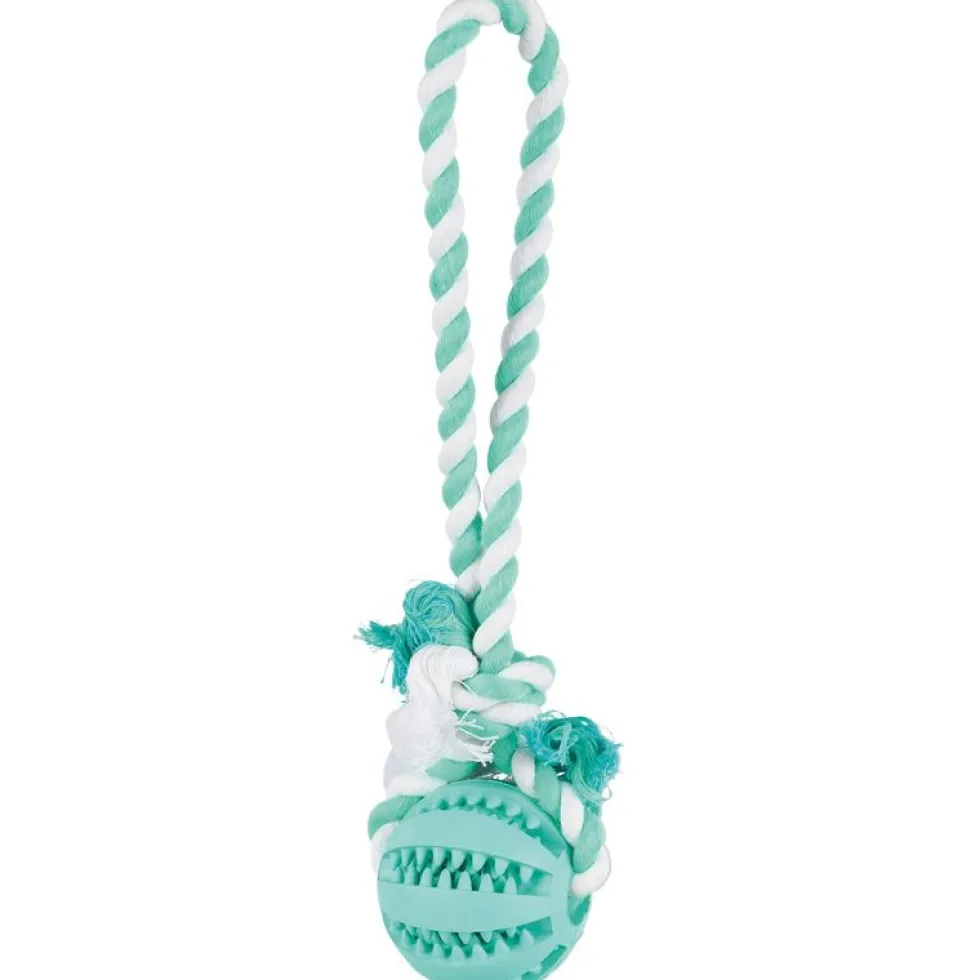 Denta Fun Ball am Tau, Mintfresh, Naturgummi, 7cm/24cm