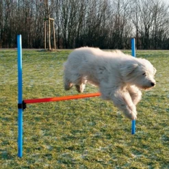 Dog Activity Agility Hürde, 123x115x3 cm, blau/orange