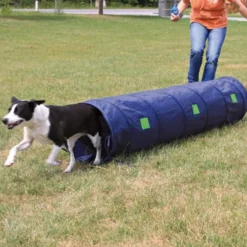 Dog Activity Agility Tunnel, 40 cm/2 m, blau
