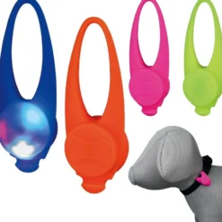 Flasher für Hunde