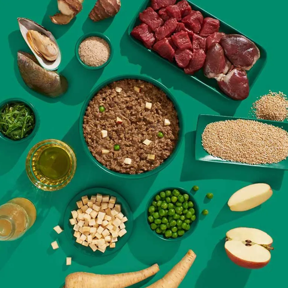 FRED SENIOR Hirsch + Pute mit Amaranth 390g
