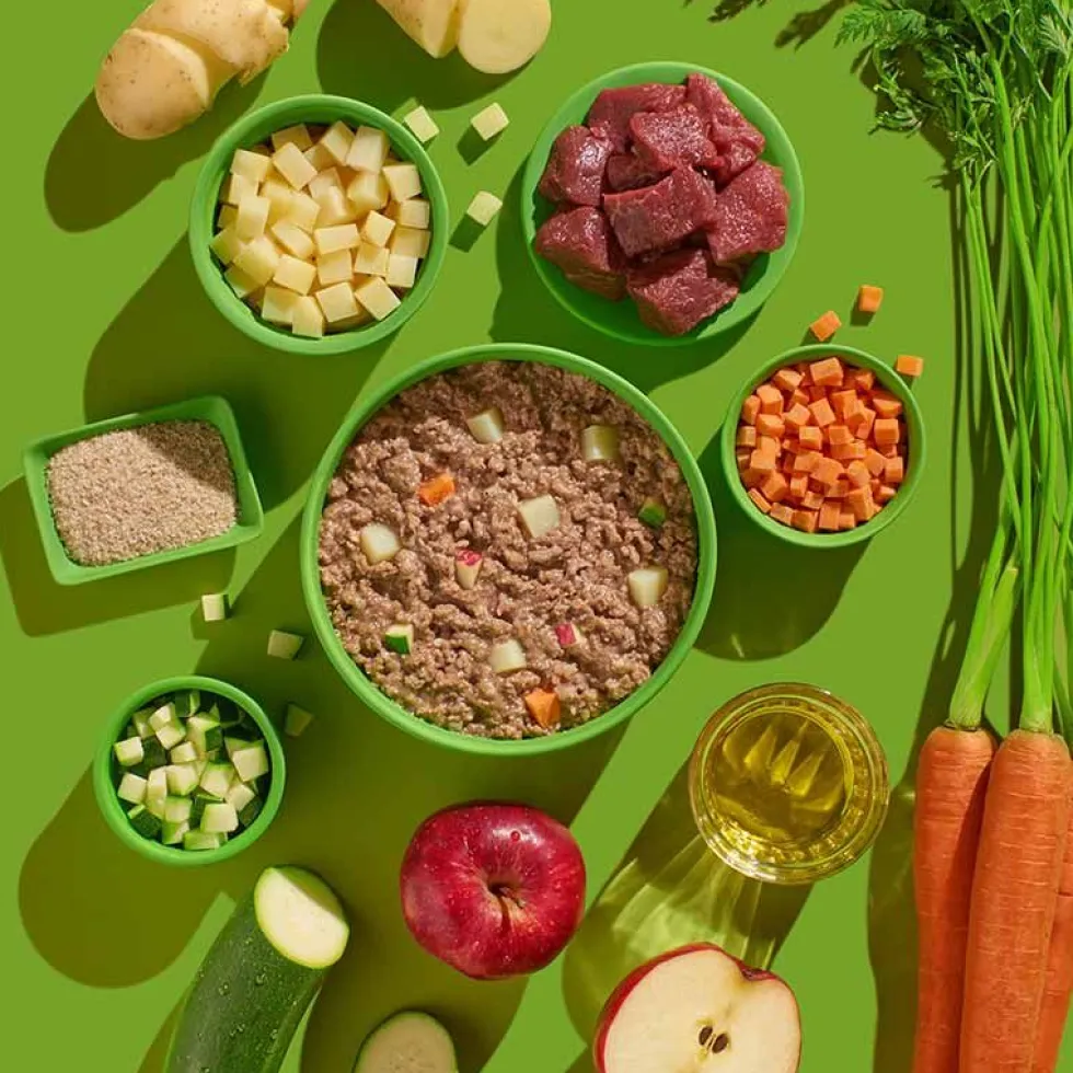 FRED Wildschwein mit Kartoffeln + Karotten 390g