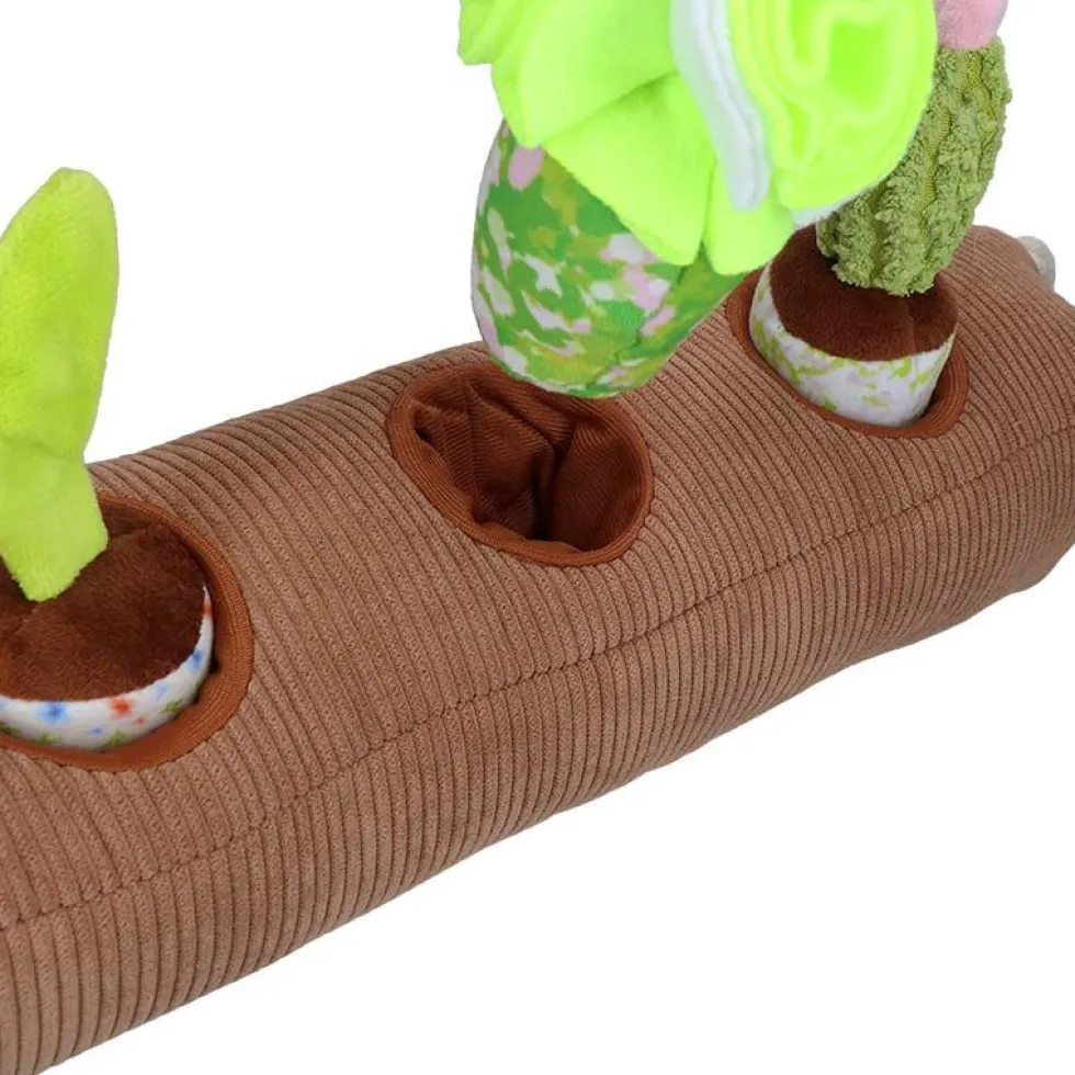 Garden Paws Snuffle Box - Sprossen, Getreide & Kakteen