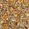 GEVO Streufutter 10 kg