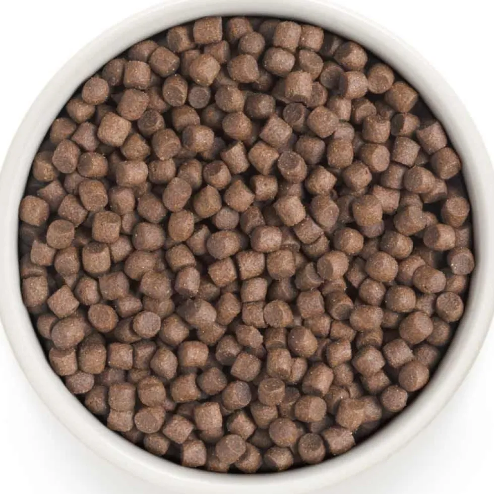 Grandorf Adult Mini Pute
