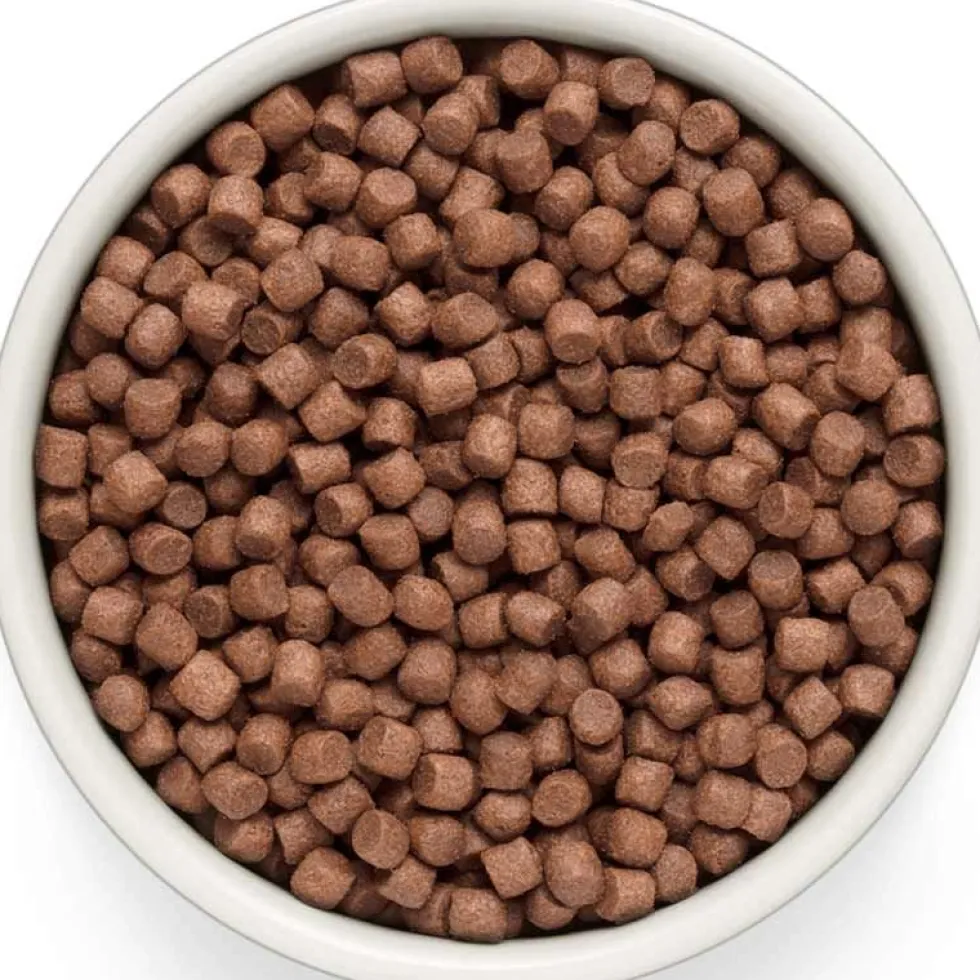 Grandorf Fresh Adult Mini Frisches Lamm
