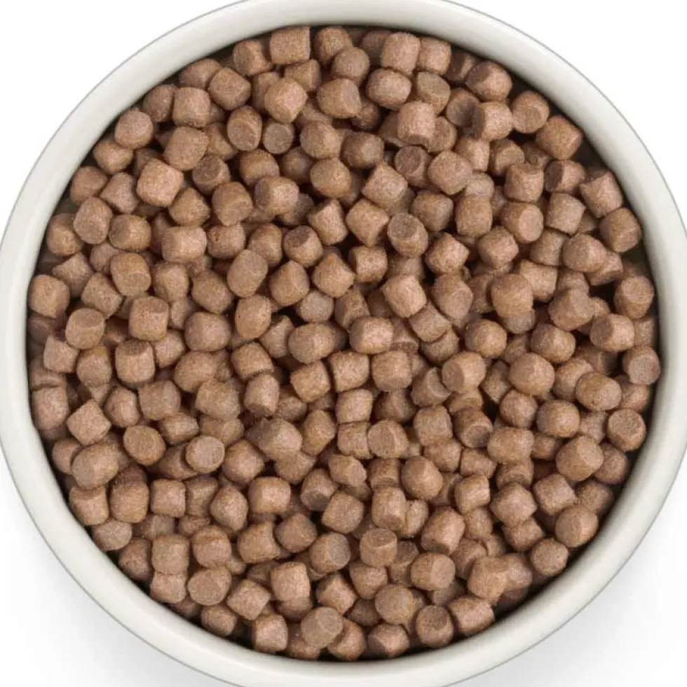 Grandorf Fresh Adult Mini Frische Pute