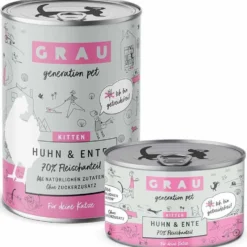 Grau Katze Kitten Huhn und Ente