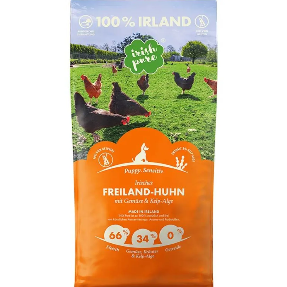 Irish Pure Irisches Freiland-Huhn Puppy