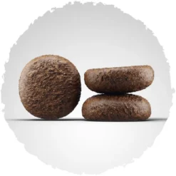 Josera A/S Junior YoungStar
