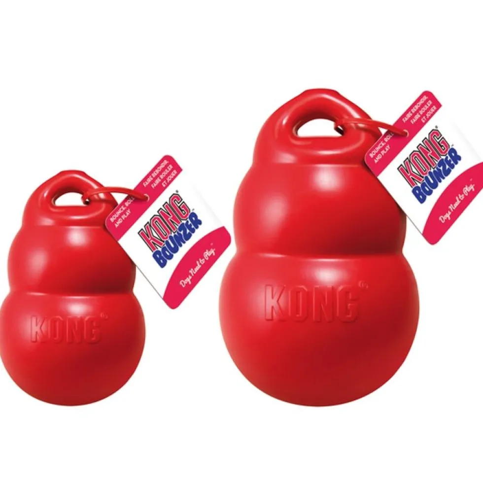 KONG Bounzer