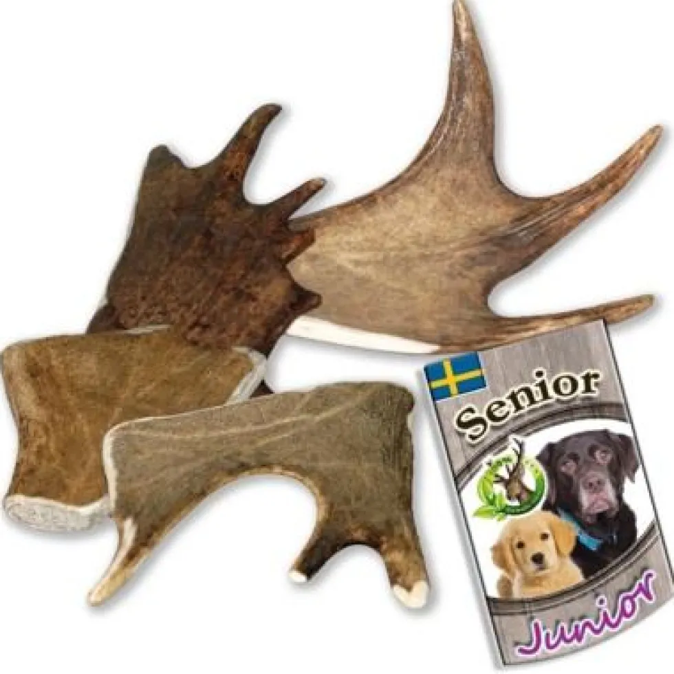 Larsson Snack Elk-Schäufle