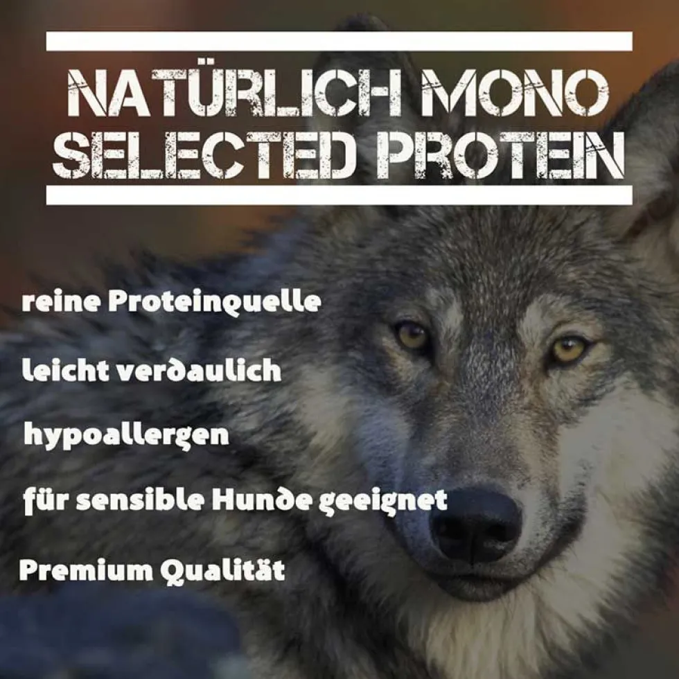 Leitwolf Mono Fish Adult Fisch + Kartoffel