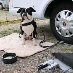 Linnepe Dog-Sitter 1 Stück