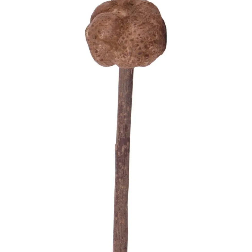 Petlando Earthcat Silvervine Lolli