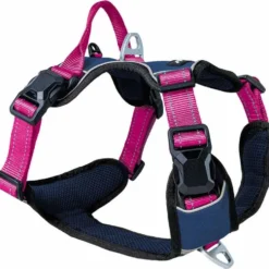 Petlando Magnetech Geschirr, navy/fuchsia