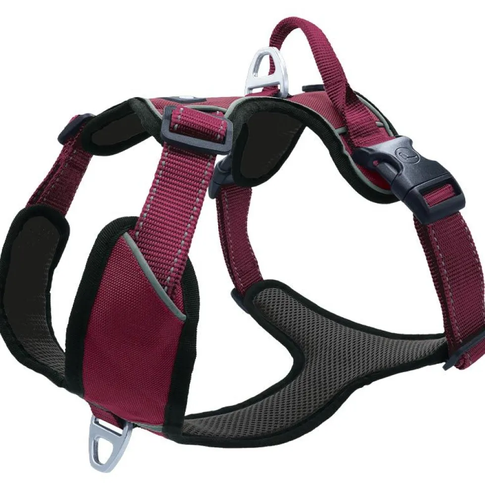 Petlando Outdoor Geschirr, berry