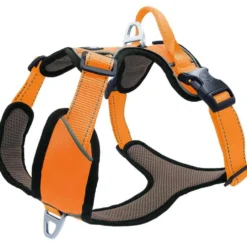 Petlando Outdoor Geschirr, orange