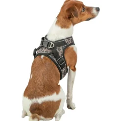 Premium Urban Vest Geschirr, Leo, braun