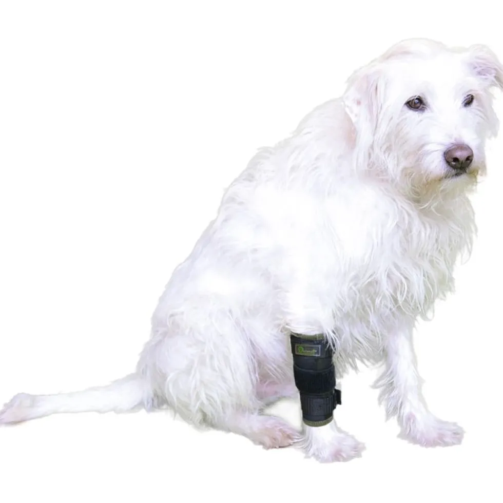 Vetlando Vorderlauf Stützbandage, schwarz