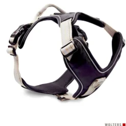 Wolters Geschirr Active Pro, champagner/schwarz