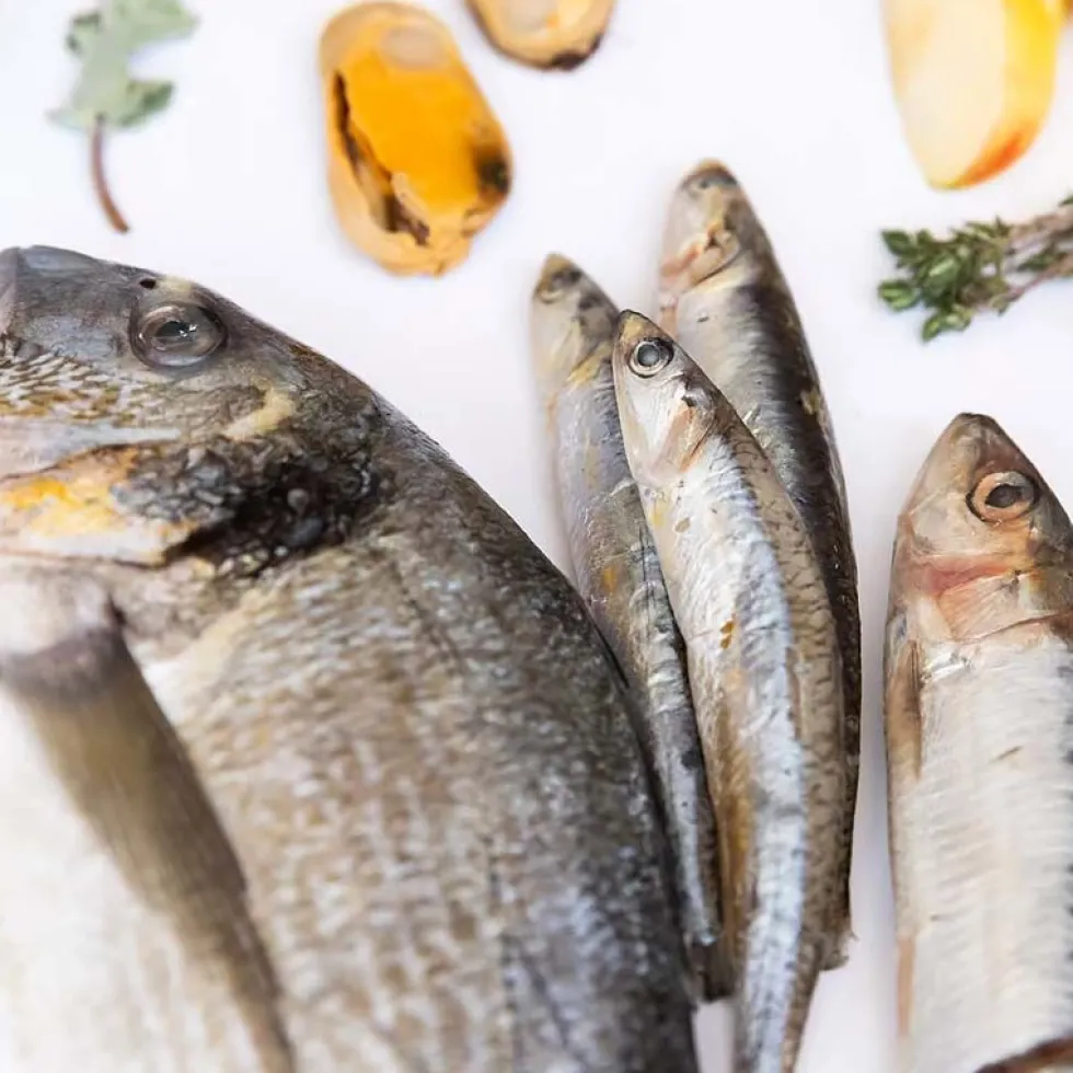 YDOLO Semi-Moist Pure Wild Fish