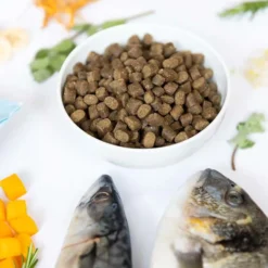 YDOLO Semi-Moist Pure Wild Fish MINI
