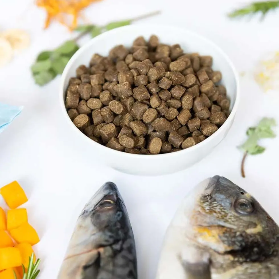 YDOLO Semi-Moist Pure Wild Fish MINI